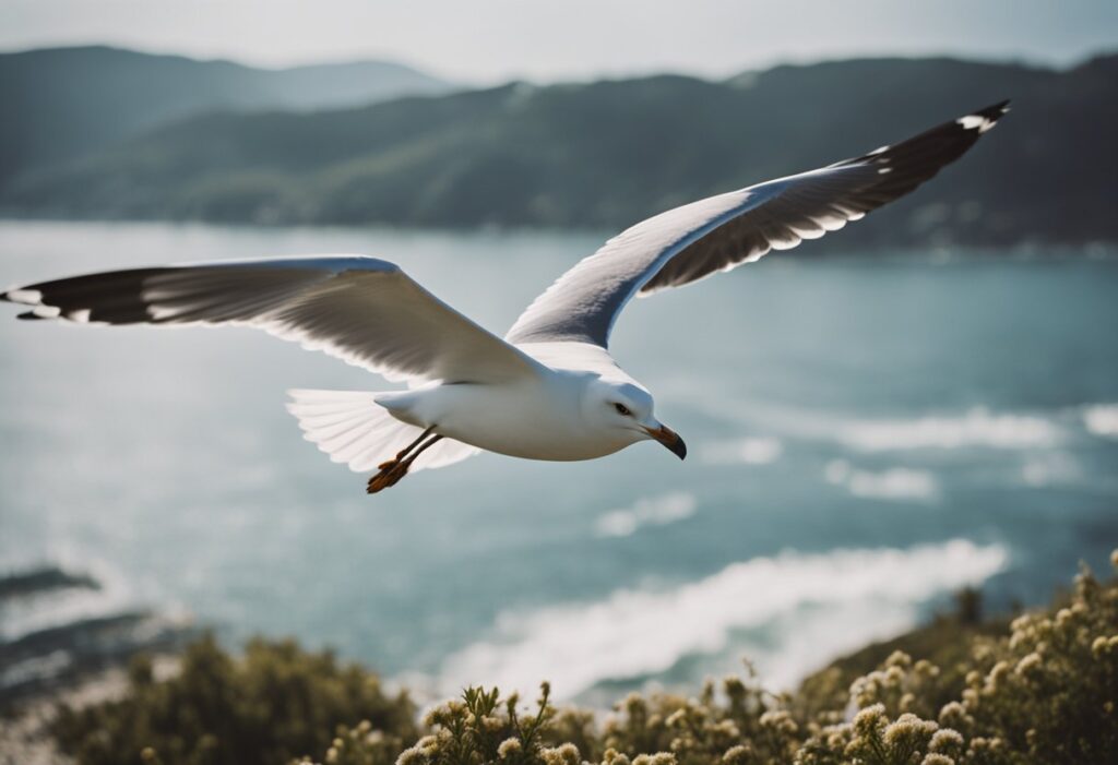 Spiritual Meaning Of Seagull